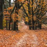 10 destinos para viajar en autocaravana en otoño