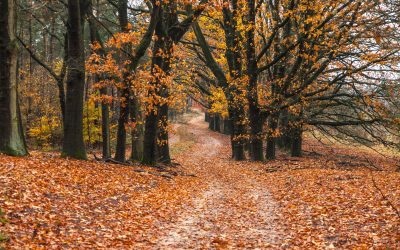 10 destinos para viajar en autocaravana en otoño