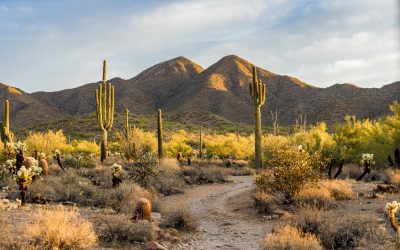 Los 10 mejores viajes en autocaravana por el mundo