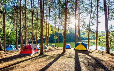 El camping: la solución al insomnio