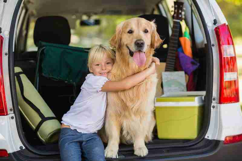 Los consejos que no debes olvidar para viajar con perro