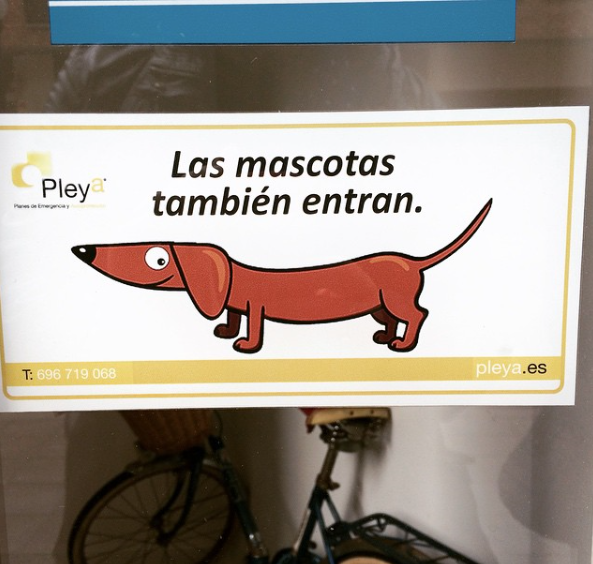 No sin mi perro: 8 bares en Gijón para ir con mascotas