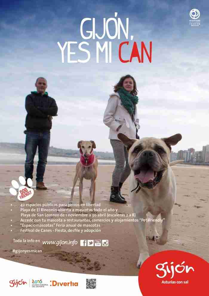 Vota Gijón como mejor destino para un turismo con perros
