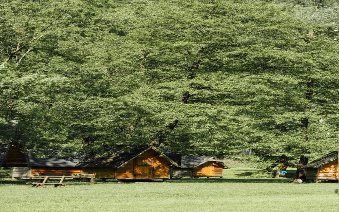 Turismo rural en las alturas: 10 campings con cabañas en los árboles