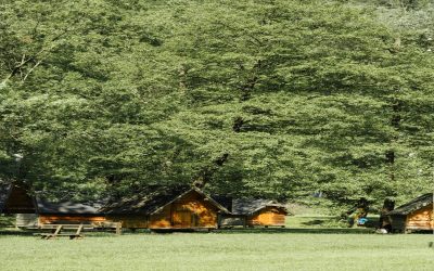 Turismo rural en las alturas: 10 campings con cabañas en los árboles