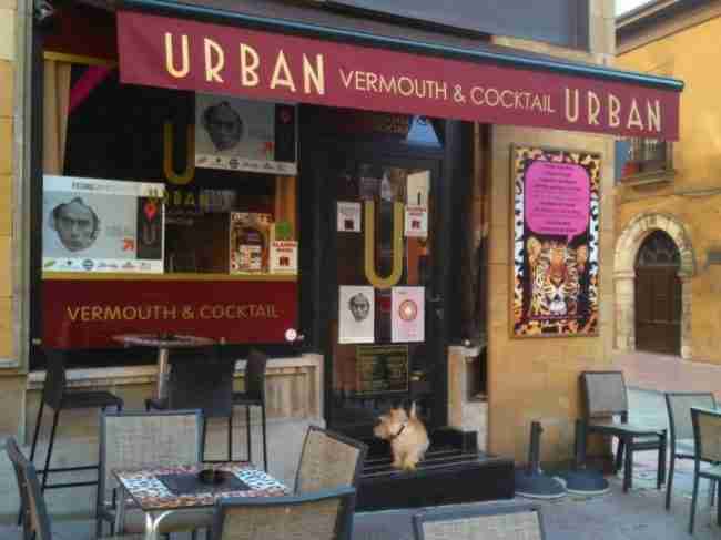 Urban Vermouth & Cocktail (Oviedo) Perros
