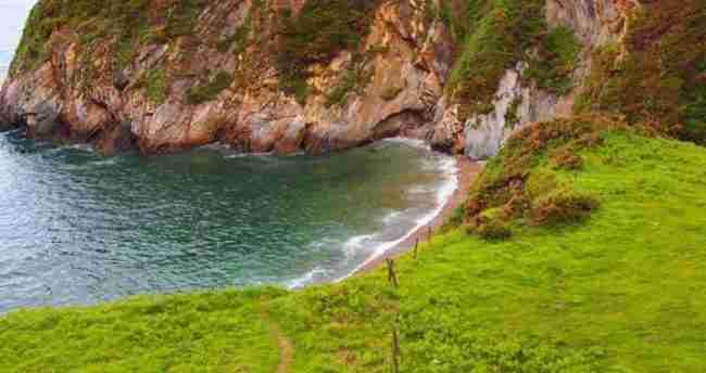¿a qué playa puedo ir con perros en Asturias?