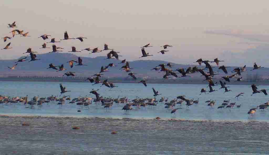 viajarenautocaravana-lagunas