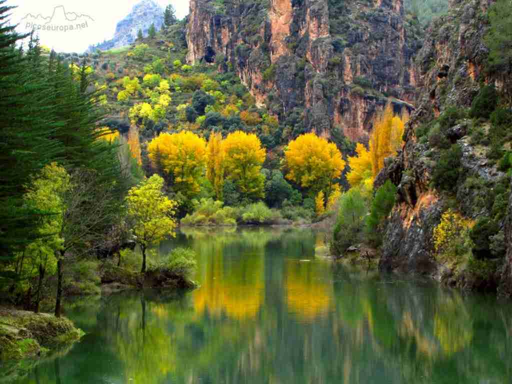 ¡Los colores te van a conquistar a primera vista con estas rutas camper en otoño. 