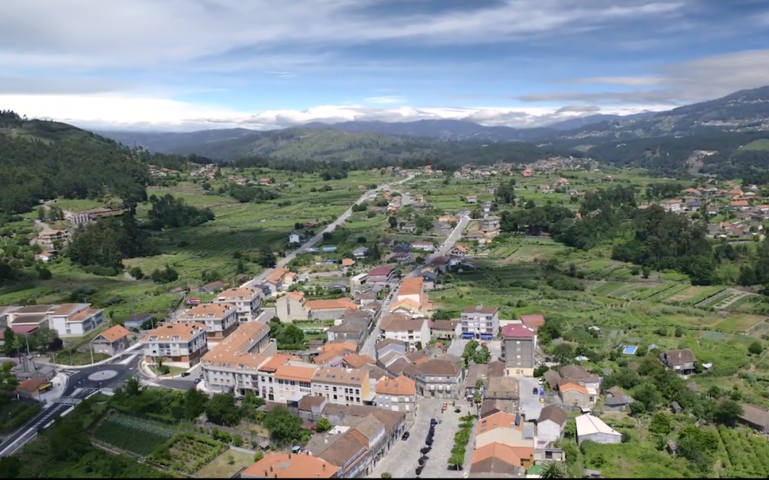 Enoturismo en Pontevedra: Albariño y lamprea