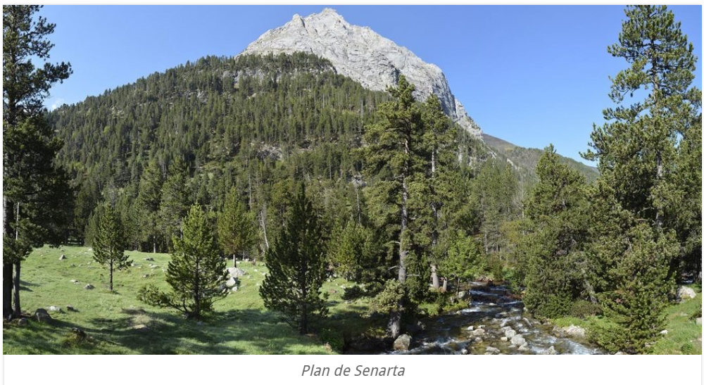 paisaje desde la zona de acampada de senarta pirineos españa