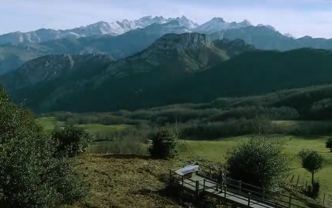 Parques Naturales de Asturias: Ponga