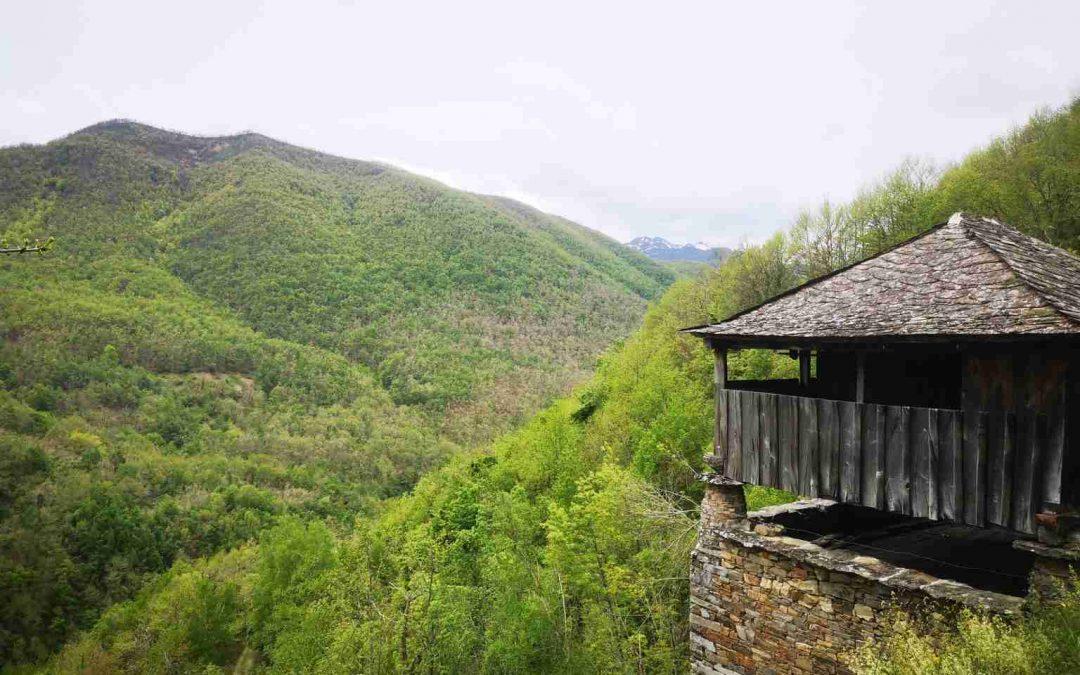 Parques Naturales de Fuentes del Narcea y del Ibias