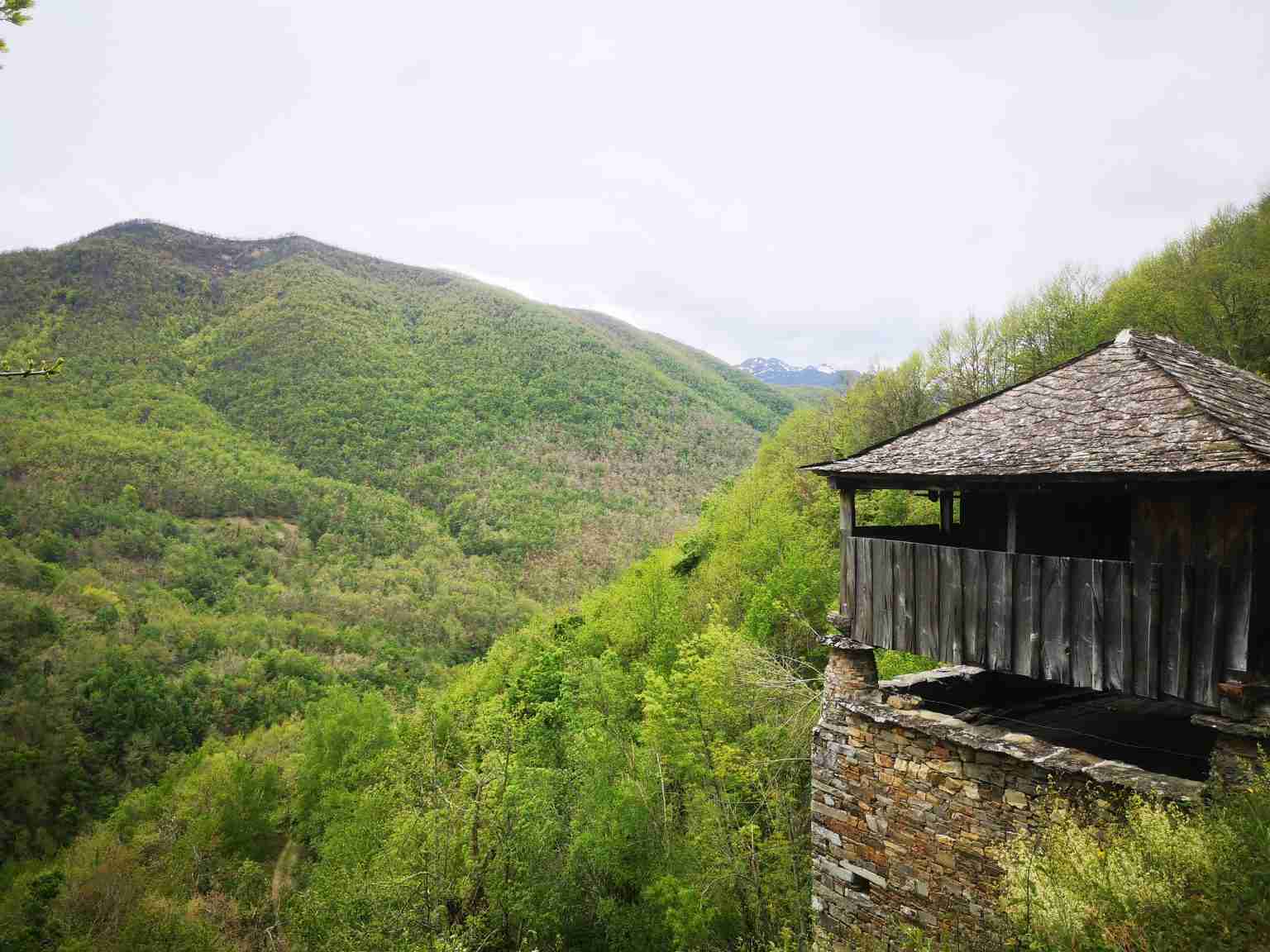 Parques Naturales de Fuentes del Narcea y del Ibias